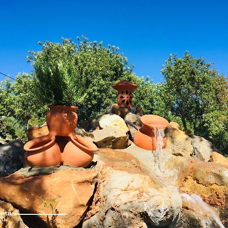 タヴィラ Quinta Dos Netosヴィラ エクステリア 写真