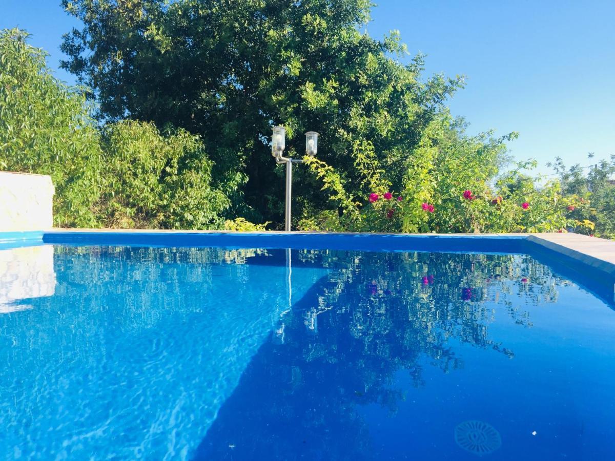 タヴィラ Quinta Dos Netosヴィラ エクステリア 写真